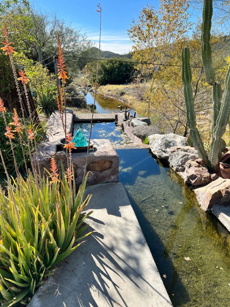 image of pond at the Stamp Mill Man Cave