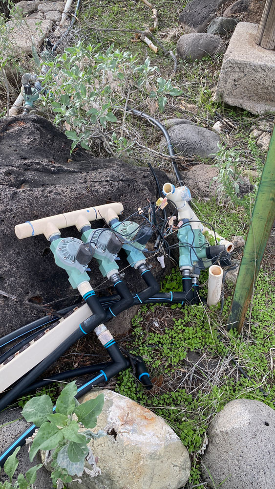 complicated drip system at harmony hollow garden