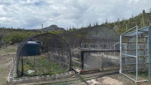 secure enclosures at the harmony hollow garden