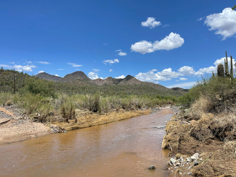 cave creek running across the harmony hollow driveway
