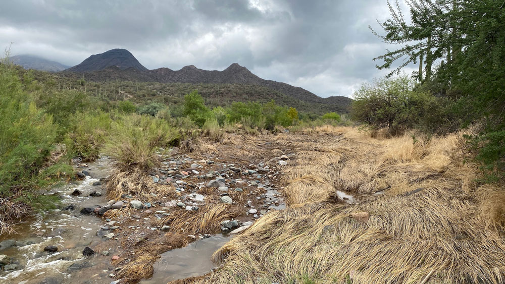 the drying up of cave creek at harmony hollow