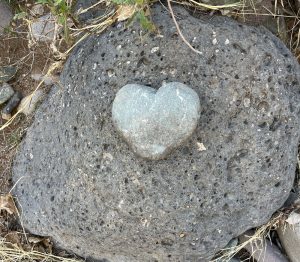 perfectly shaped heart shaped rock