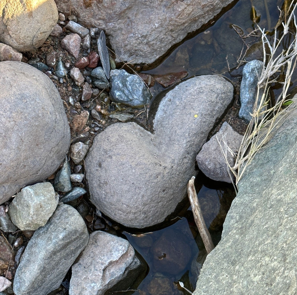 heart shaped rock hidden in the Cave Creek