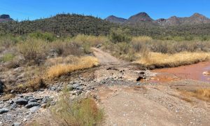 washed out road at harmony hollow