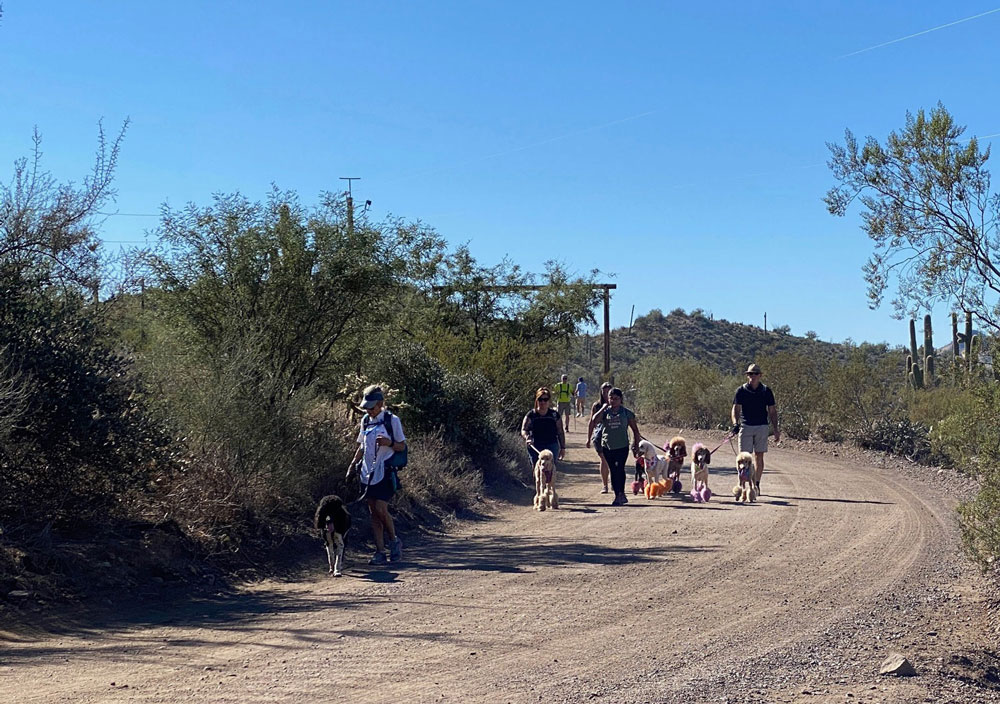 rainbow poodle parade at spur cross recreation area