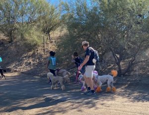 rainbow poodle parade at spur cross recreation area