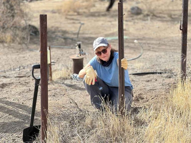 image of lori working on cleaning up the property at harmony hollow