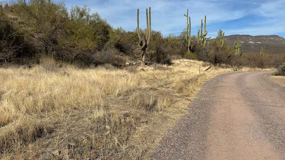 image of cleared area at harmony hollow az