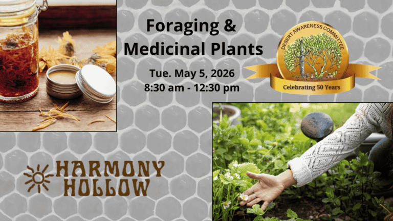 foraging and medicinal plants graphic